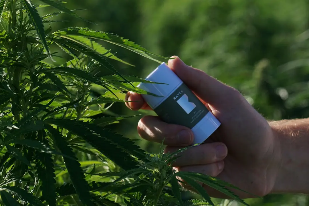 Hemp CBD processing and manufacturing facility in Florida